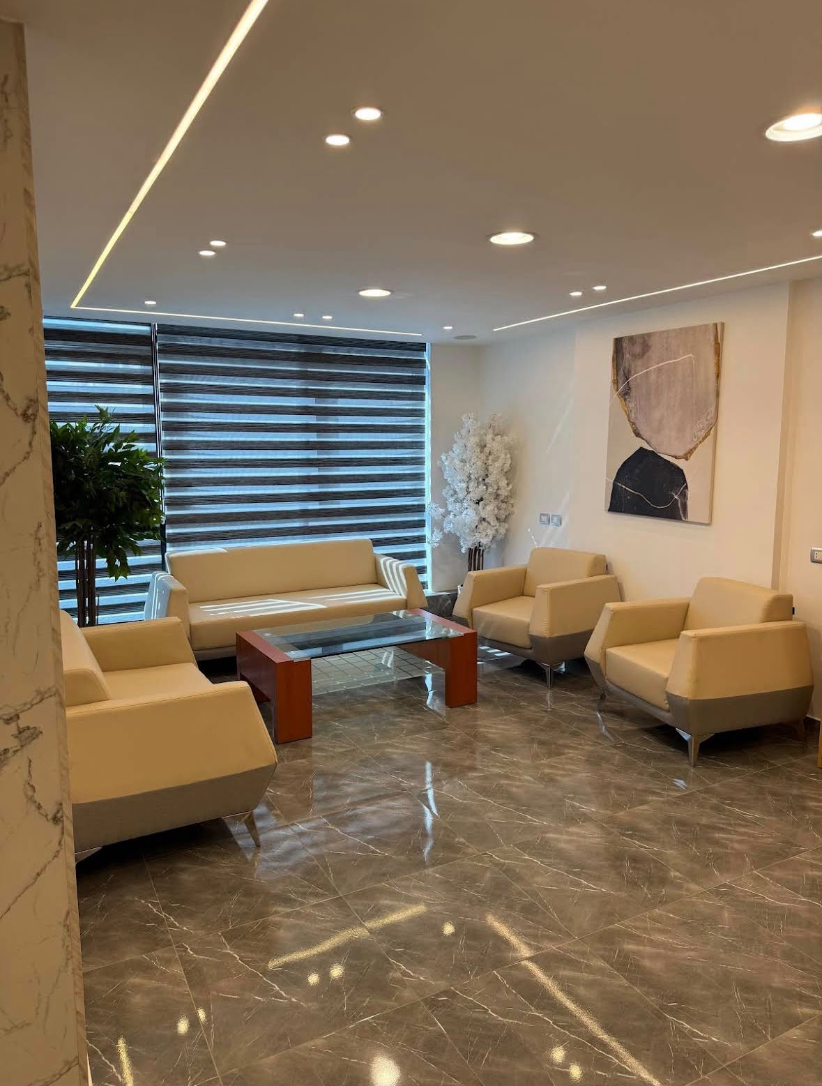 Reception and waiting lounge at Abuelroos Dental Clinic